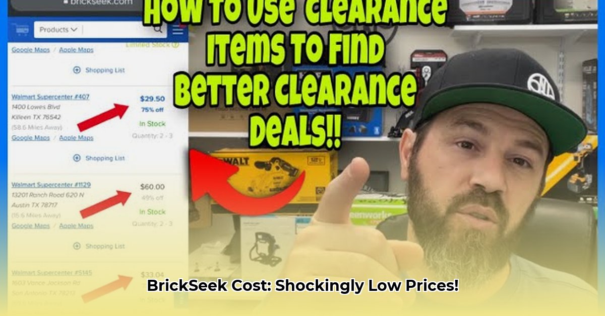 how-much-does-brickseek-cost